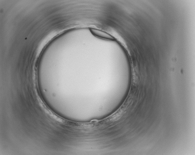 X0000070381096200606301915