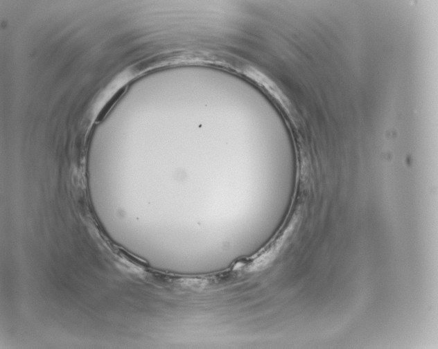 X0000070381097200606301915