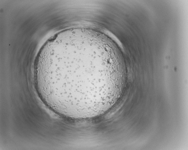 X0000070381099200606301915