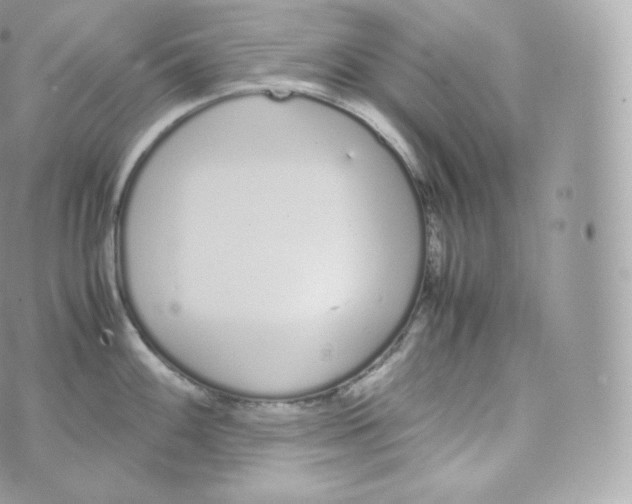 X0000070381100200606301915