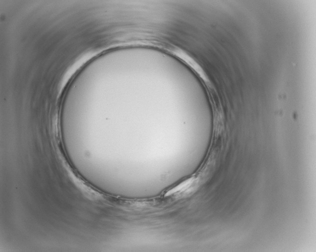 X0000070381101200606301915