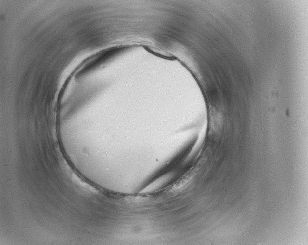 X0000070381102200606301915