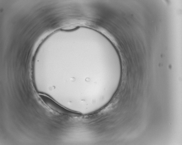 X0000070381104200606301915