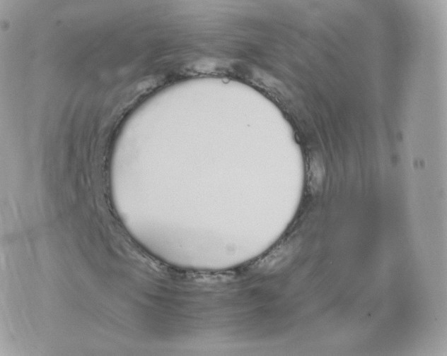 X0000070381105200606301914