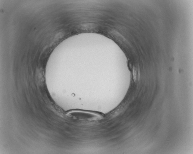 X0000070381107200606301914