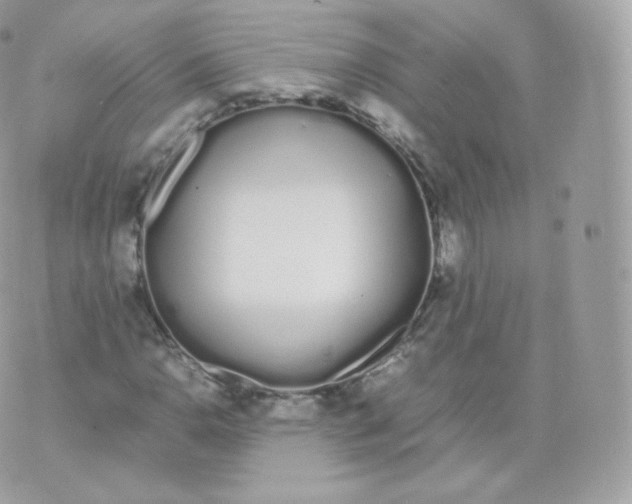 X0000070381110200606301914