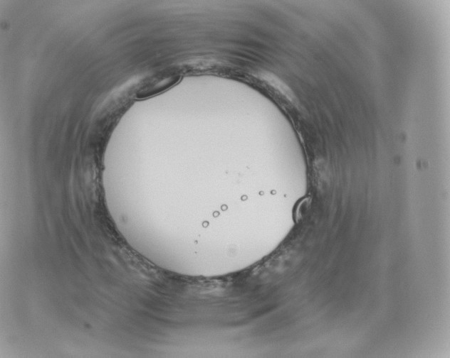 X0000070381111200606301914