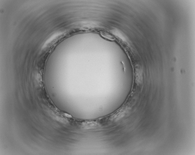 X0000070381112200606301914