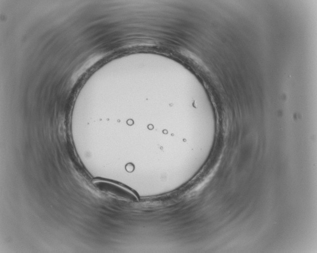 X0000070381113200606301914