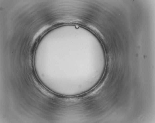 X0000070381114200606301914