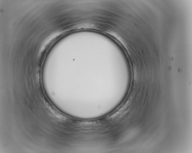 X0000070381115200606301914