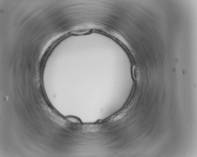 X0000070381116200606301914