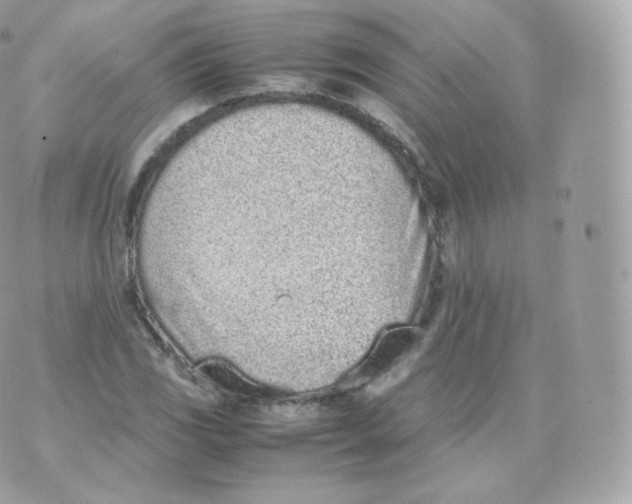 X0000070381117200606301914