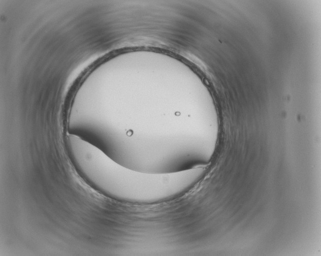 X0000070381120200606301914