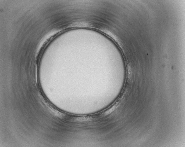 X0000070381123200606301914