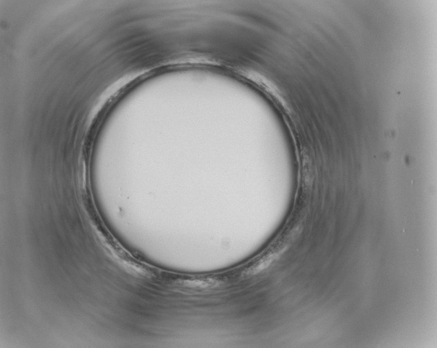 X0000070381125200606301914