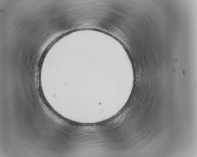 X0000070381126200606301914