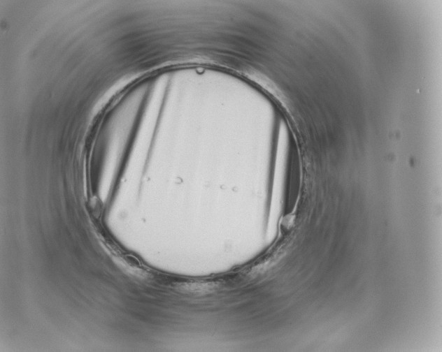 X0000070381127200606301914