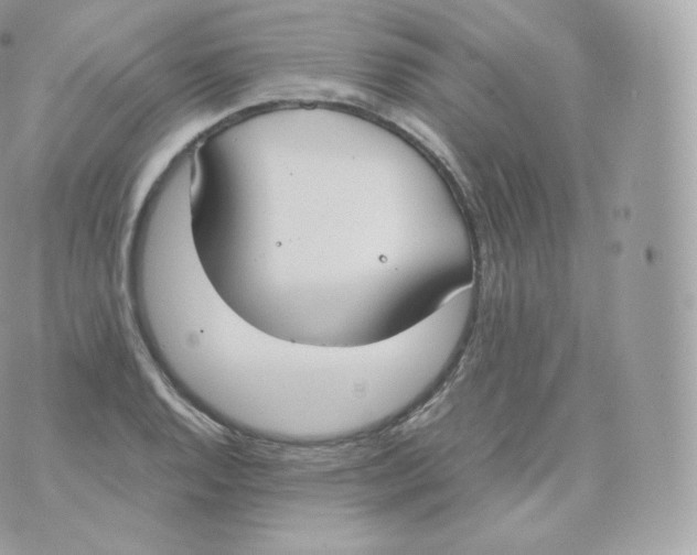 X0000070381128200606301914