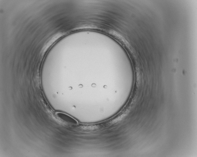 X0000070381129200606301914