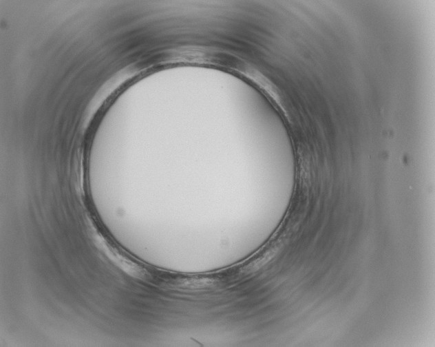 X0000070381131200606301915