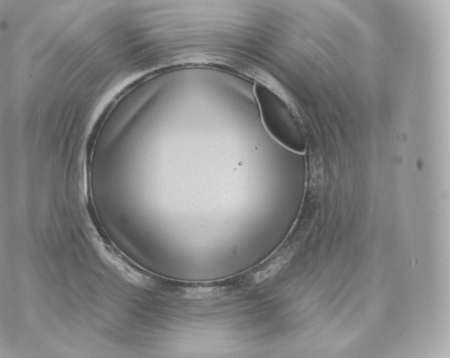 X0000070381132200606301915