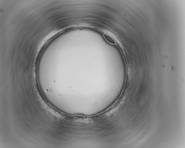 X0000070381133200606301915