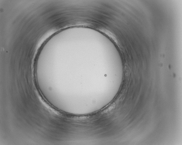 X0000070381135200606301915