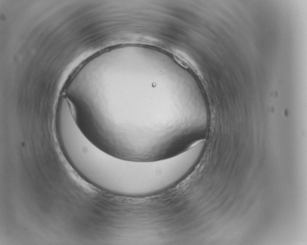 X0000070381136200606301915