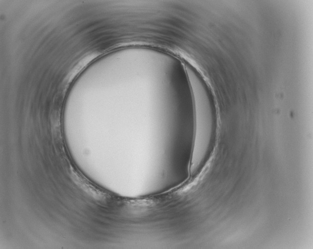 X0000070381137200606301915