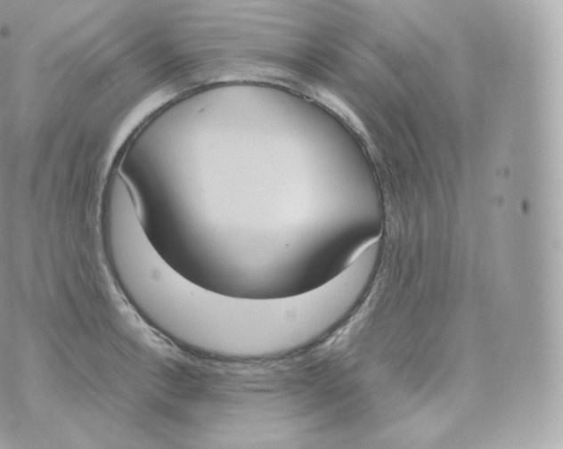 X0000070381138200606301915