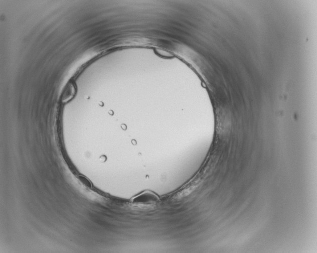 X0000070381139200606301915