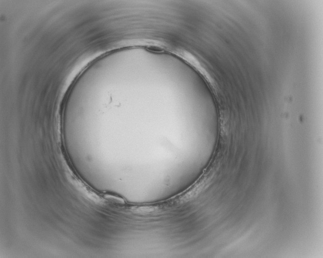 X0000070381140200606301915