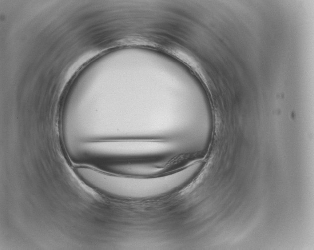 X0000070381141200606301915