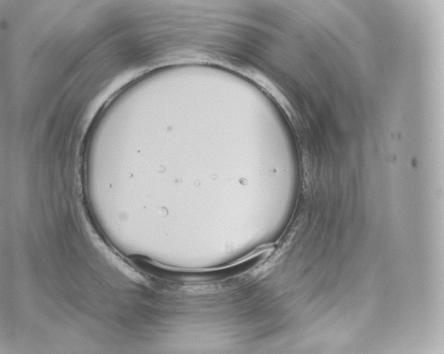 X0000070381142200606301915