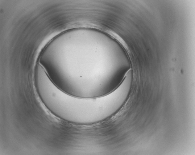 X0000070381144200606301915