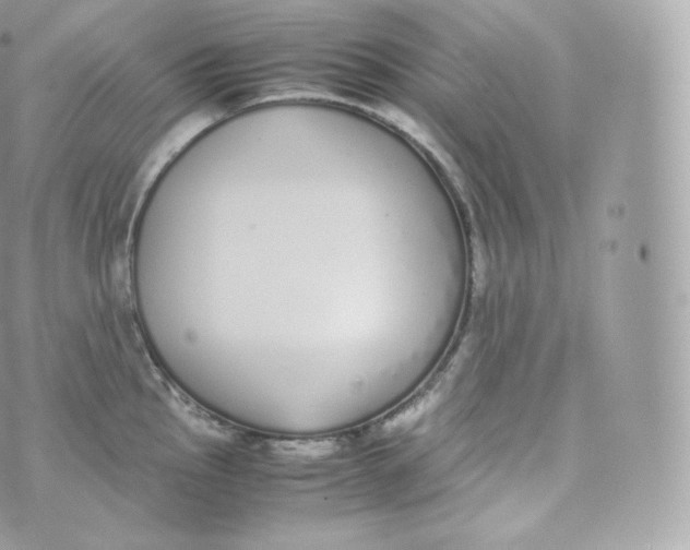 X0000070381145200606301915