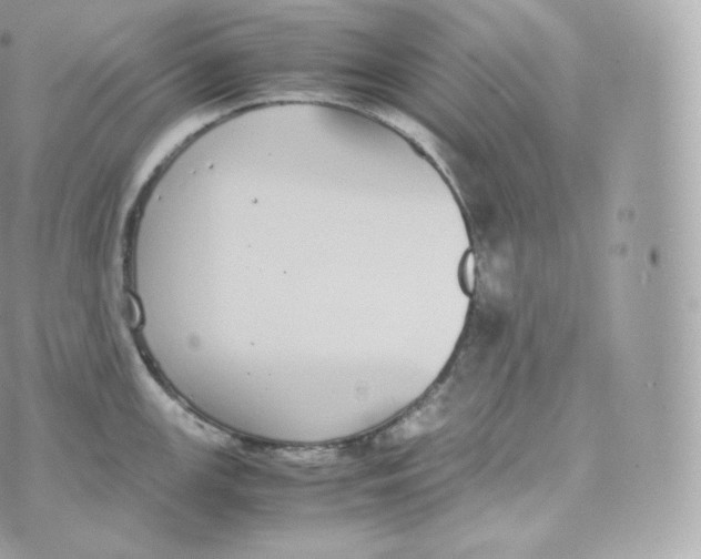 X0000070381147200606301915