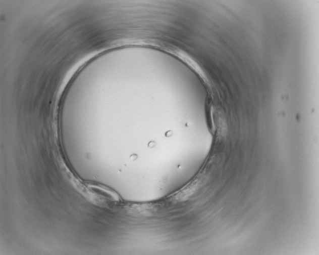 X0000070381148200606301915