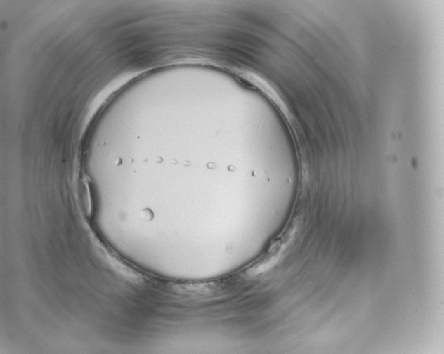 X0000070381149200606301915