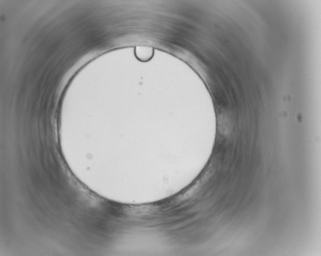 X0000070381150200606301915