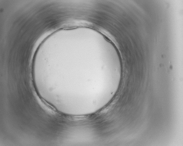 X0000070381152200606301915