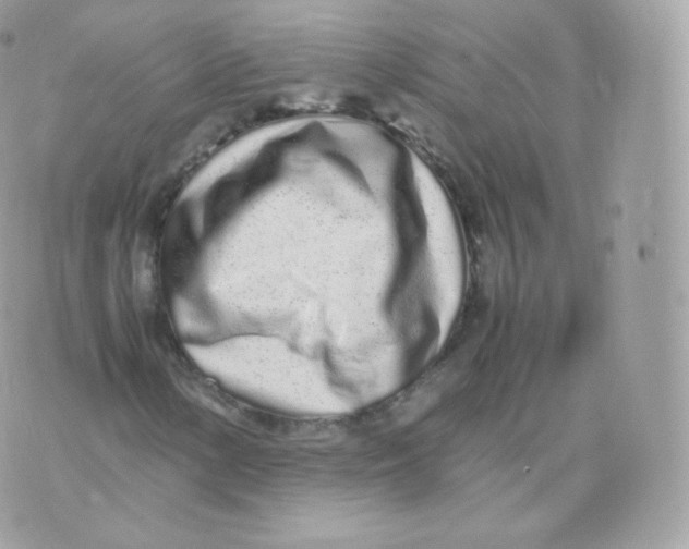 X0000070381154200606301914