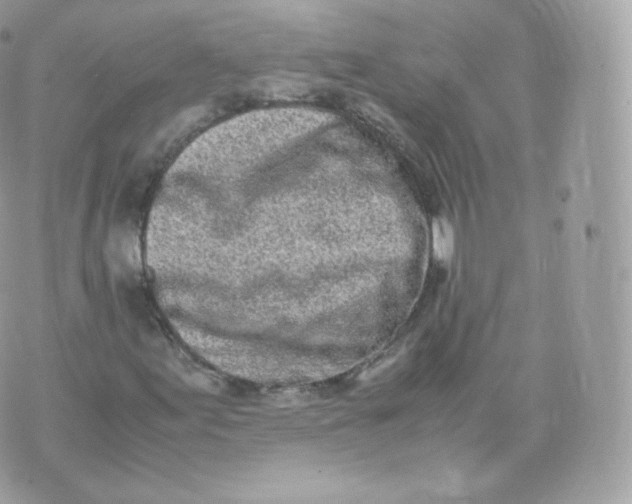 X0000070381155200606301914