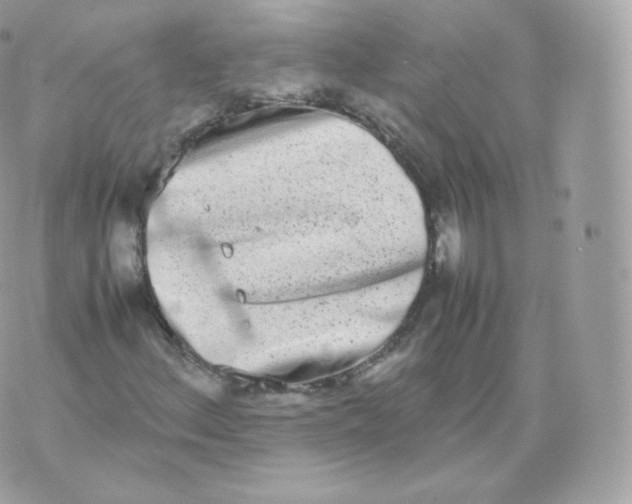 X0000070381156200606301914