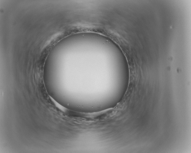 X0000070381157200606301914