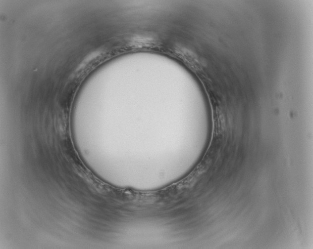 X0000070381158200606301914