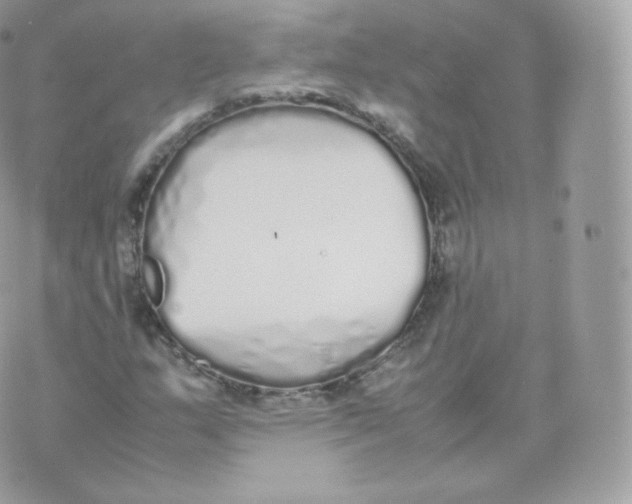 X0000070381159200606301914