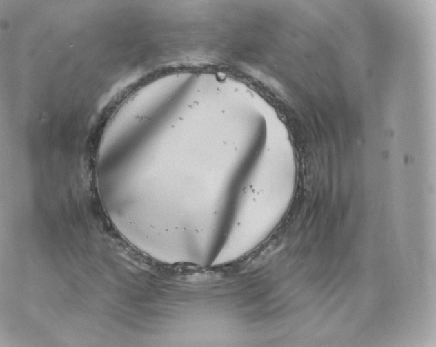 X0000070381160200606301914