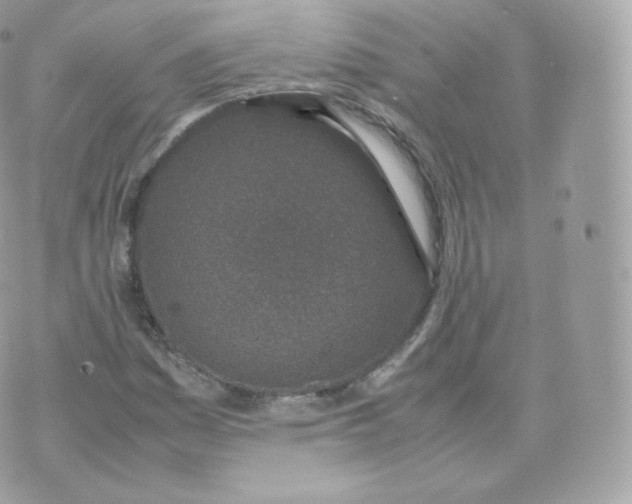 X0000070381161200606301914